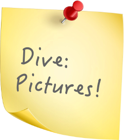 Postit Photo